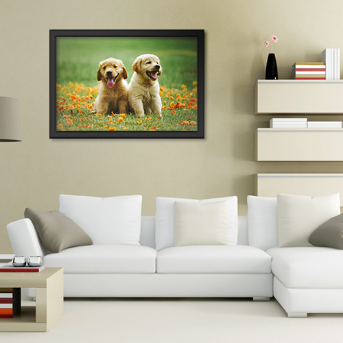 Quadros com Fotos - Cachorros golden filhotes
